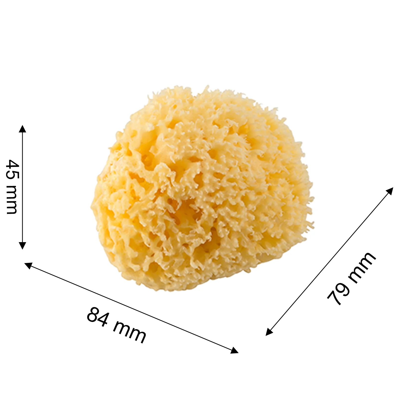 Mittelmeerschwamm - Image 4